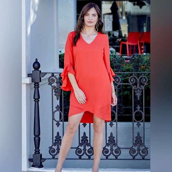 Frank Lyman Design Dresses & Skirts - Frank Lyman Fire Woven Shift Dress New w Tags size 10 Flounce Sleeves